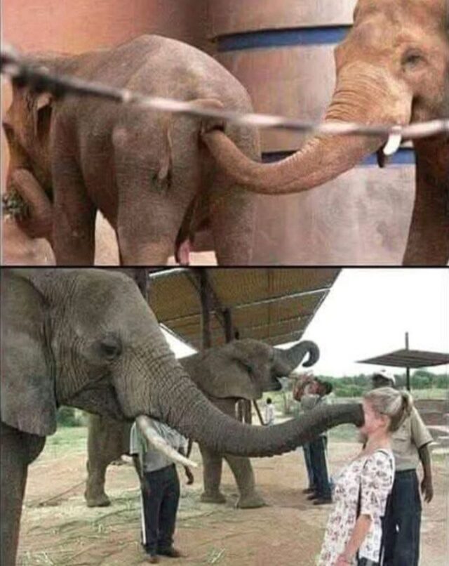 Bildschirmarbeiter - Picdump KW 22/2025