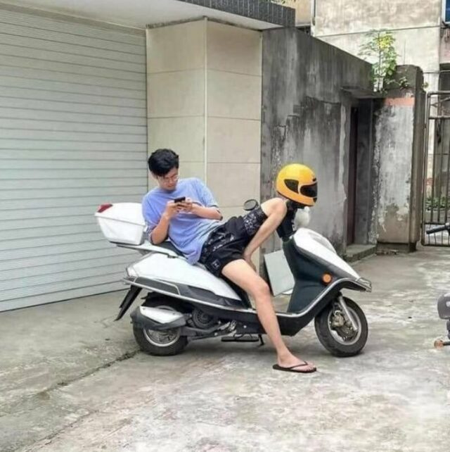 Bildschirmarbeiter - Picdump KW 22/2025