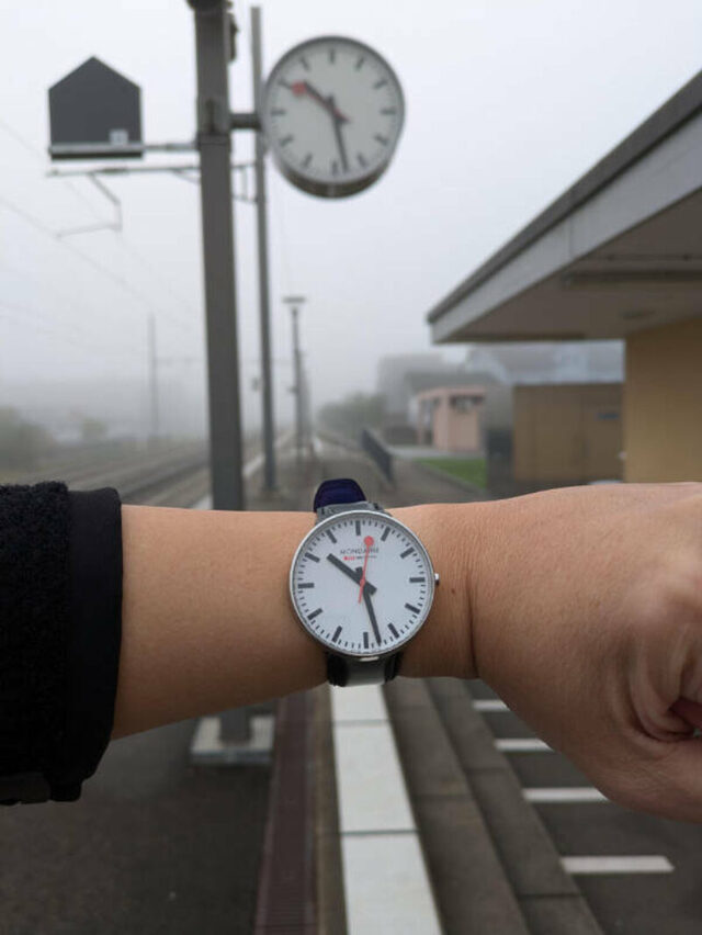 Bildschirmarbeiter - Picdump KW 22/2025