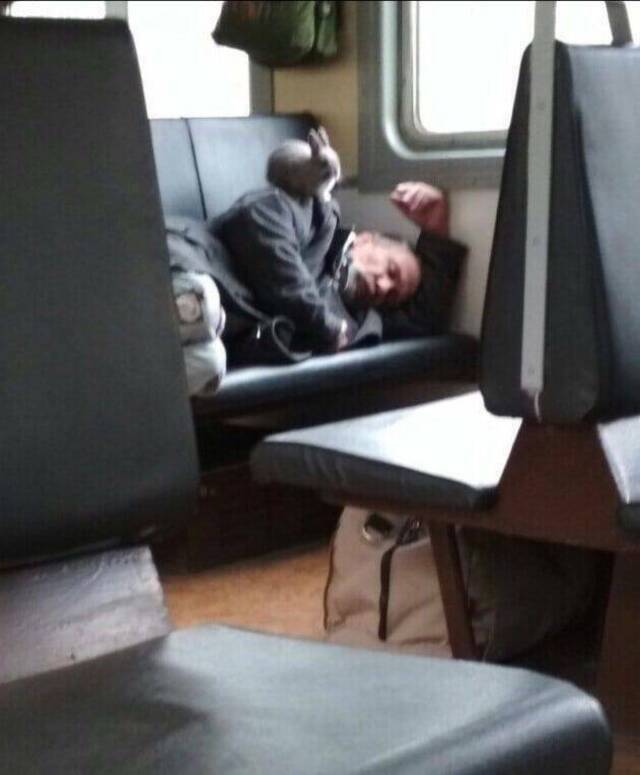 Bildschirmarbeiter - Picdump KW 22/2025