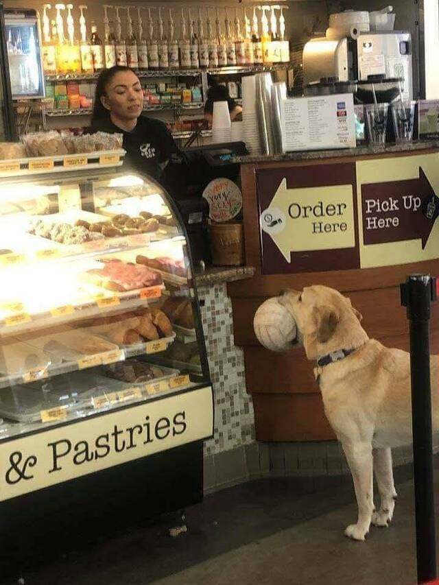 Bildschirmarbeiter - Picdump KW 22/2025