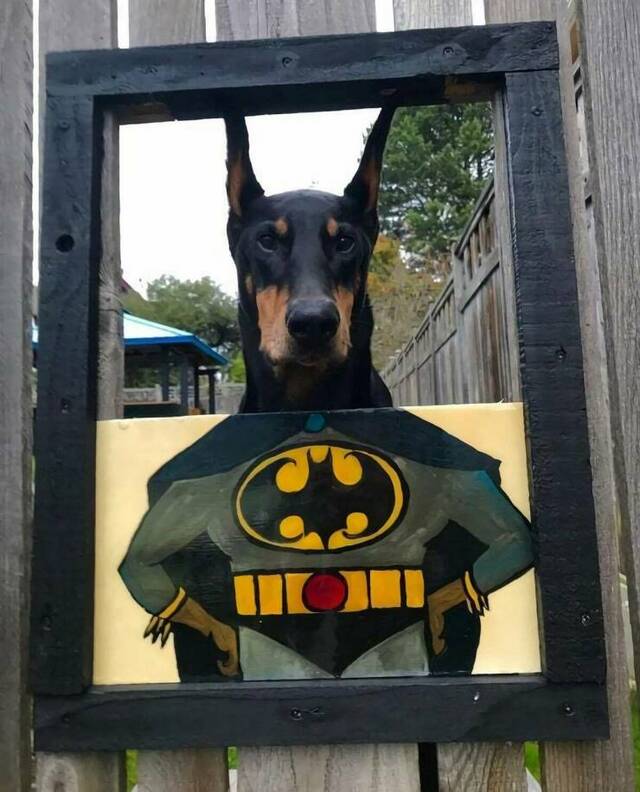 Bildschirmarbeiter - Picdump KW 22/2025