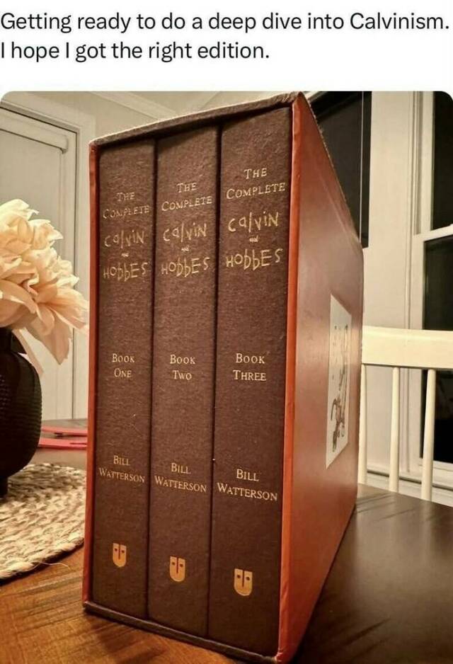 Bildschirmarbeiter - Picdump KW 22/2025