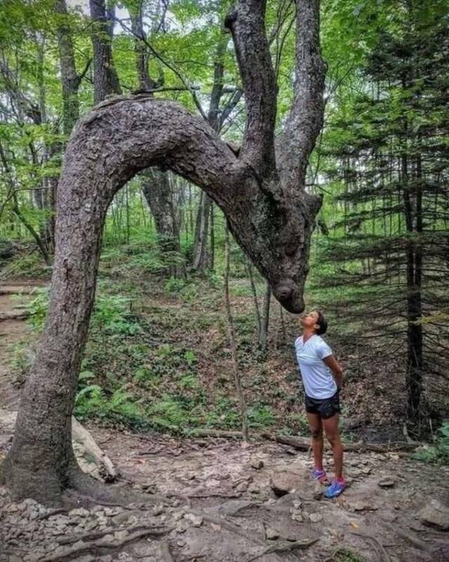 Bildschirmarbeiter - Picdump KW 22/2025