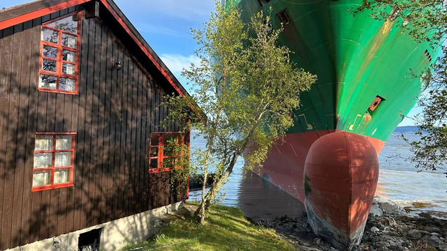 Bildschirmarbeiter - Picdump KW 22/2025