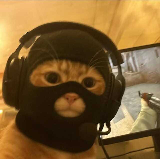 Bildschirmarbeiter - Picdump KW 22/2025