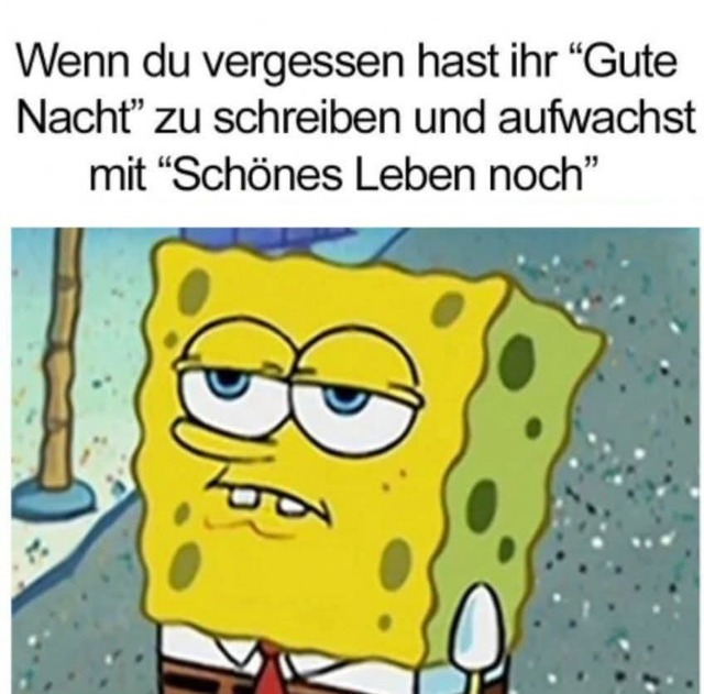 Bildschirmarbeiter - Picdump KW 22/2025