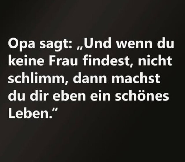 Bildschirmarbeiter - Picdump KW 22/2025