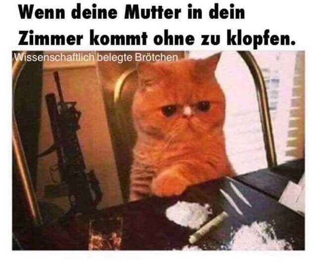 Bildschirmarbeiter - Picdump KW 22/2025