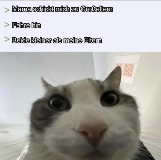 Bildschirmarbeiter - Picdump KW 22/2025