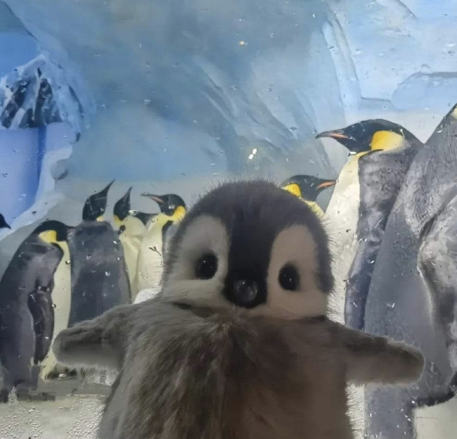 Bildschirmarbeiter - Picdump KW 22/2025