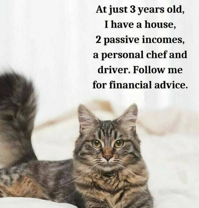 Bildschirmarbeiter - Picdump KW 22/2025