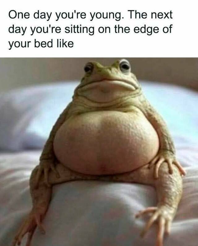 Bildschirmarbeiter - Picdump KW 22/2025