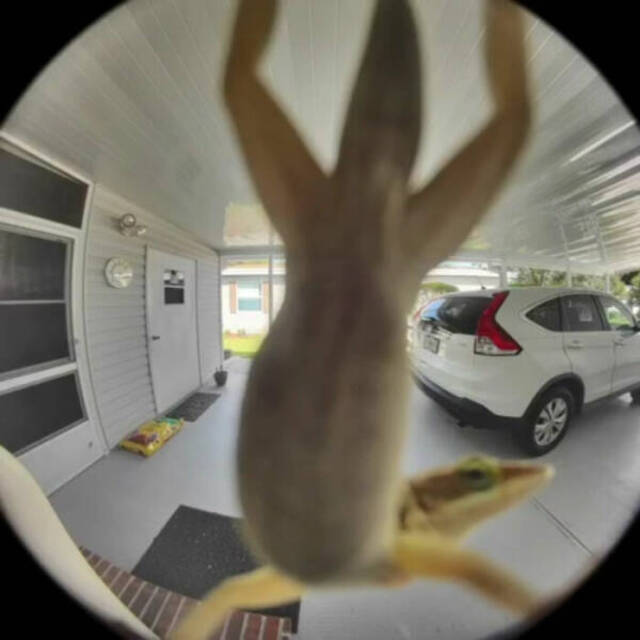 Bildschirmarbeiter - Picdump KW 22/2025