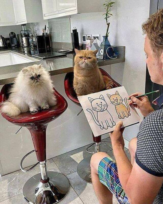 Bildschirmarbeiter - Picdump KW 22/2026
