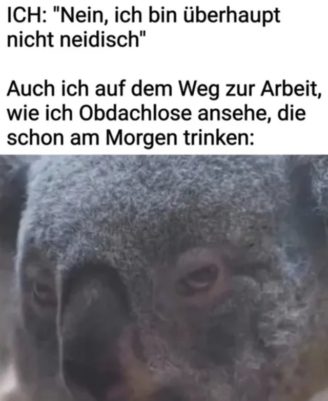 Bildschirmarbeiter - Picdump KW 22/2026