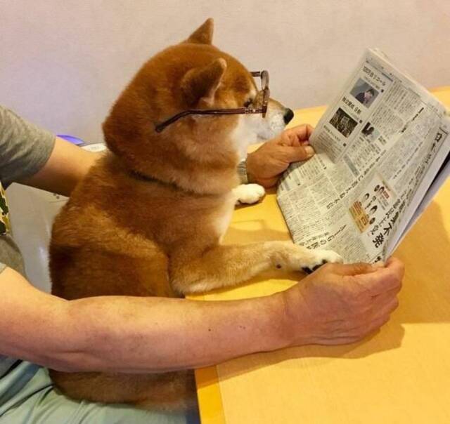 Bildschirmarbeiter - Picdump KW 23/2022