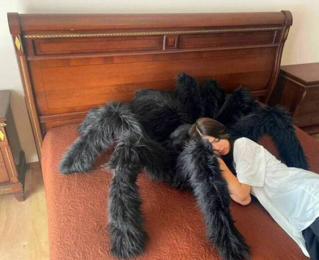 Bildschirmarbeiter - Picdump KW 23/2022