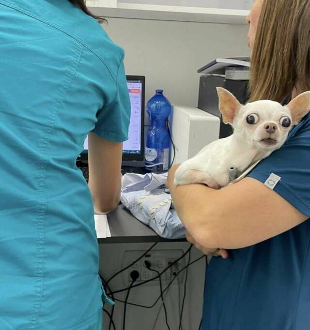 Bildschirmarbeiter - Picdump KW 23/2022