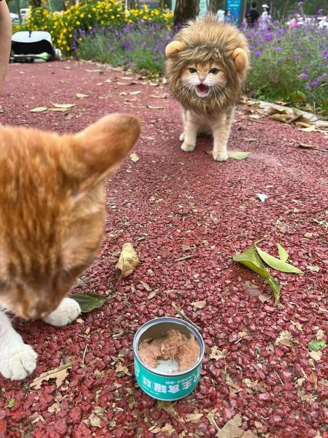 Bildschirmarbeiter - Picdump KW 23/2022