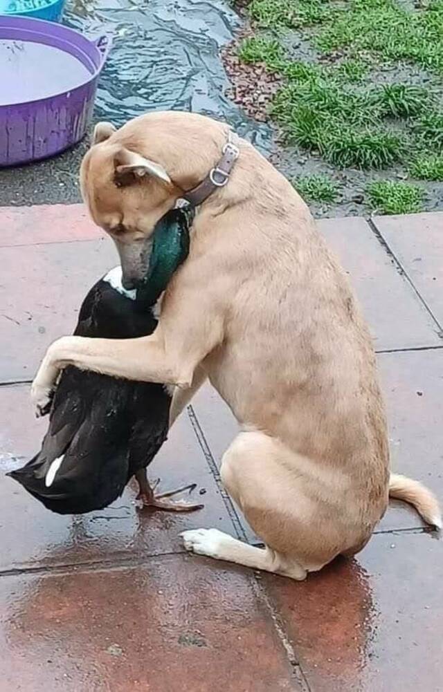 Bildschirmarbeiter - Picdump KW 23/2022