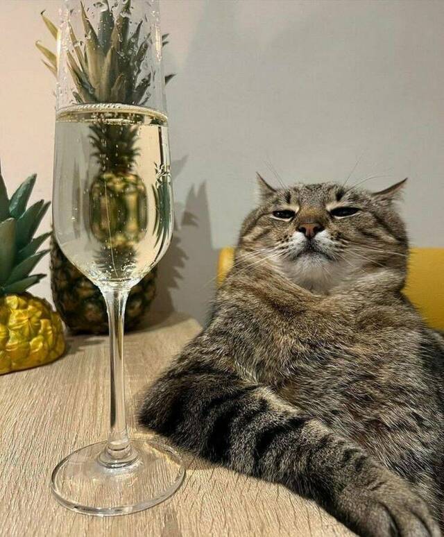 Bildschirmarbeiter - Picdump KW 23/2022