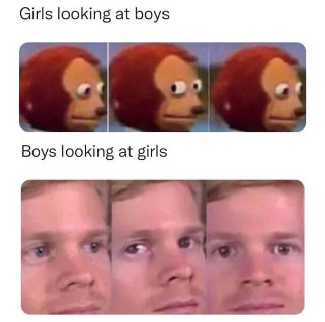 Bildschirmarbeiter - Picdump KW 23/2022