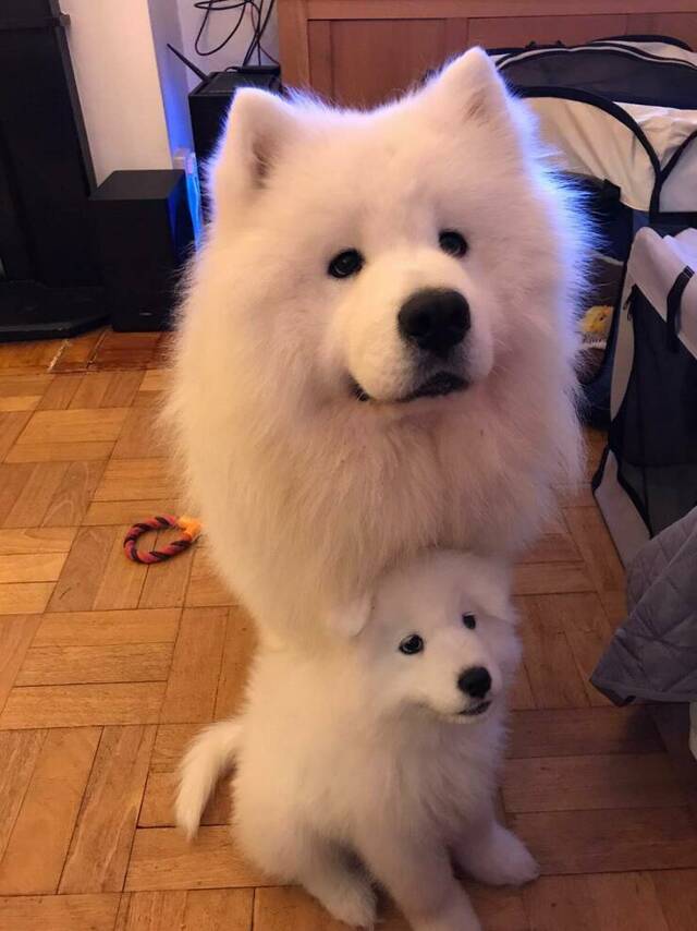 Bildschirmarbeiter - Picdump KW 23/2022