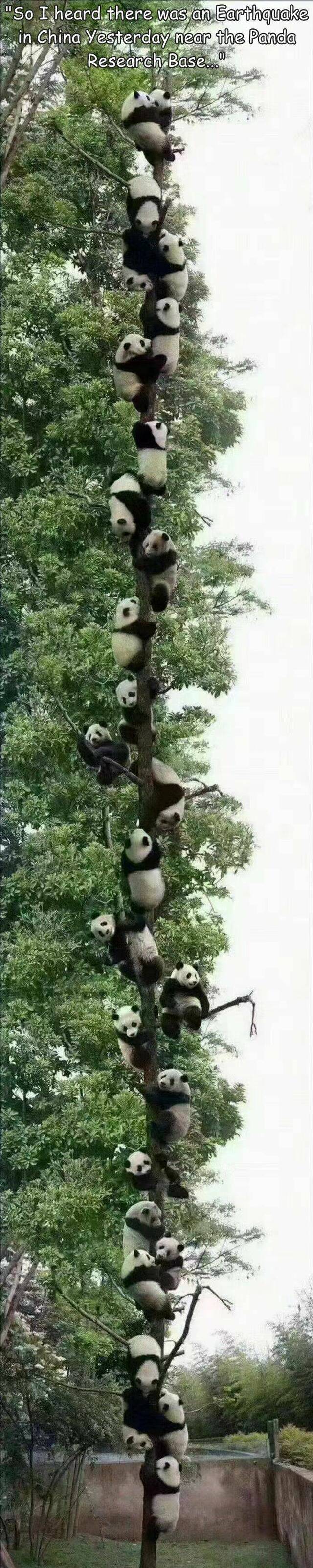 Bildschirmarbeiter - Picdump KW 23/2022