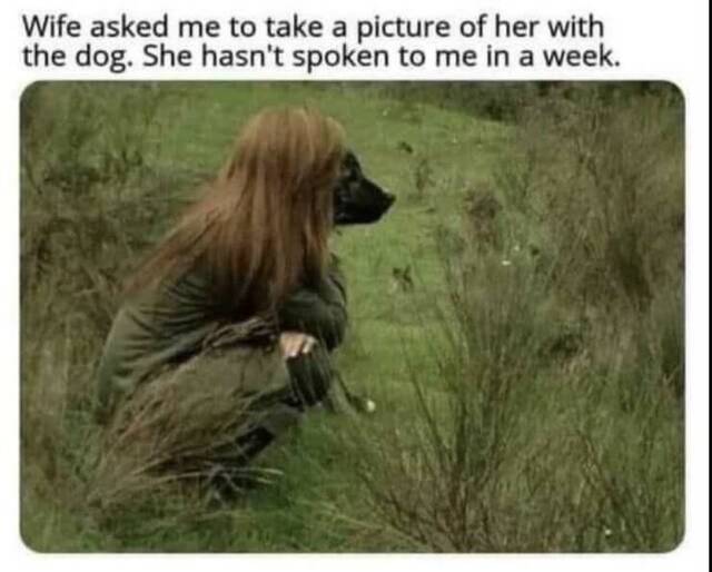 Bildschirmarbeiter - Picdump KW 23/2022