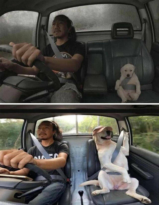 Bildschirmarbeiter - Picdump KW 23/2022