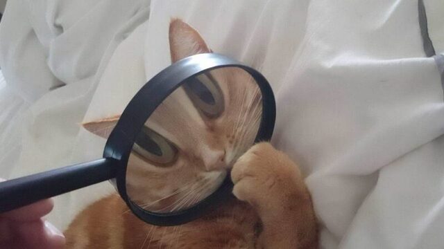 Bildschirmarbeiter - Picdump KW 23/2026