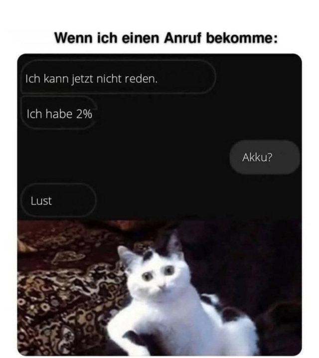 Bildschirmarbeiter - Picdump KW 23/2026