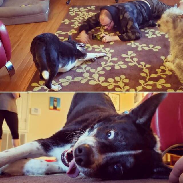 Bildschirmarbeiter - Picdump KW 24/2022