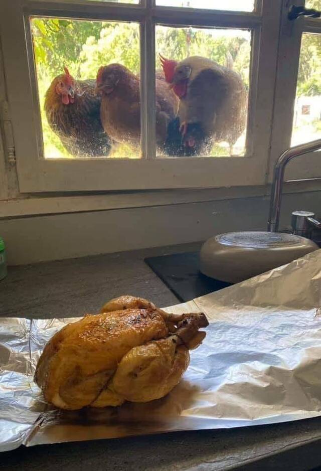 Bildschirmarbeiter - Picdump KW 24/2022