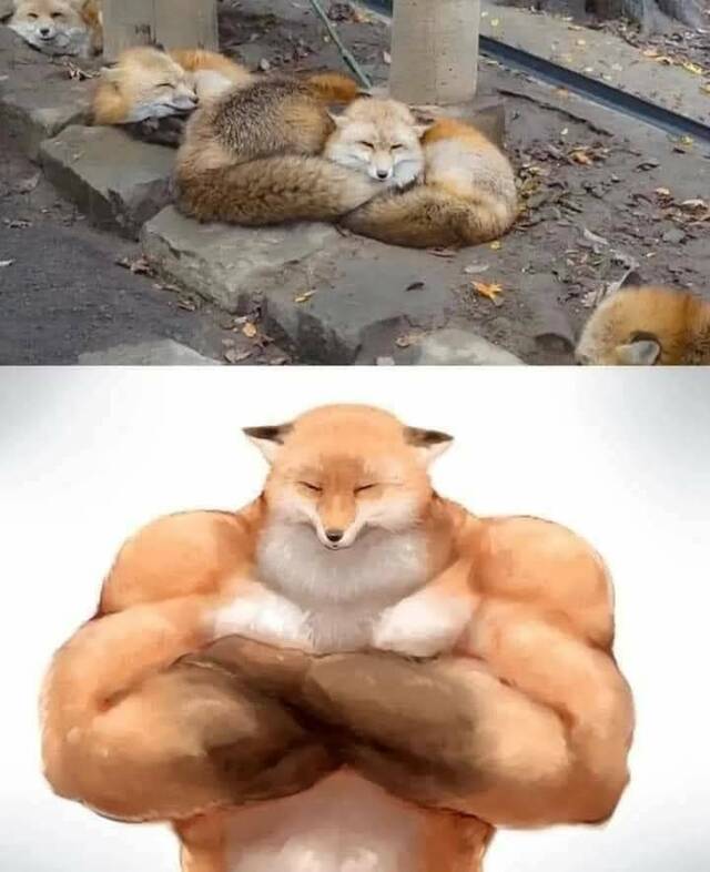 Bildschirmarbeiter - Picdump KW 24/2022