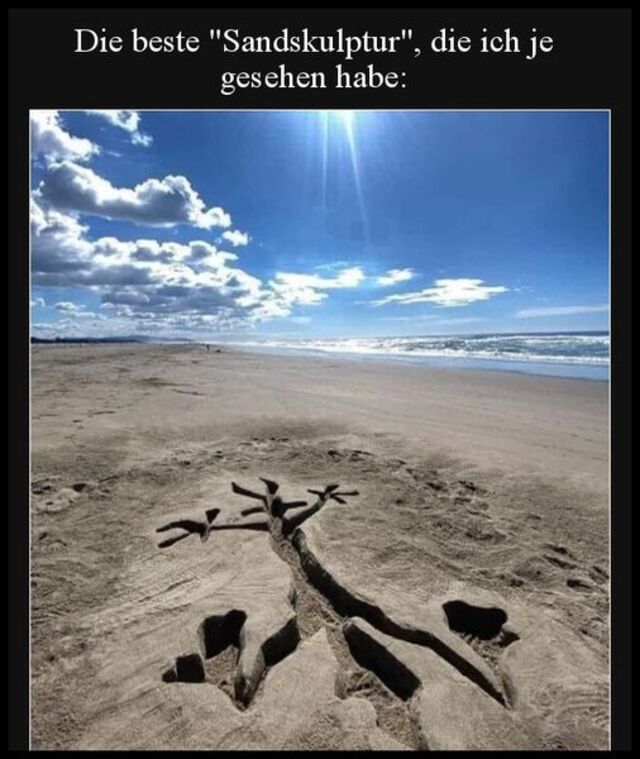 Bildschirmarbeiter - Picdump KW 24/2022