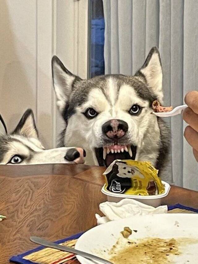 Bildschirmarbeiter - Picdump KW 24/2022