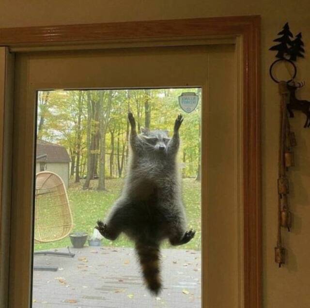 Bildschirmarbeiter - Picdump KW 24/2022