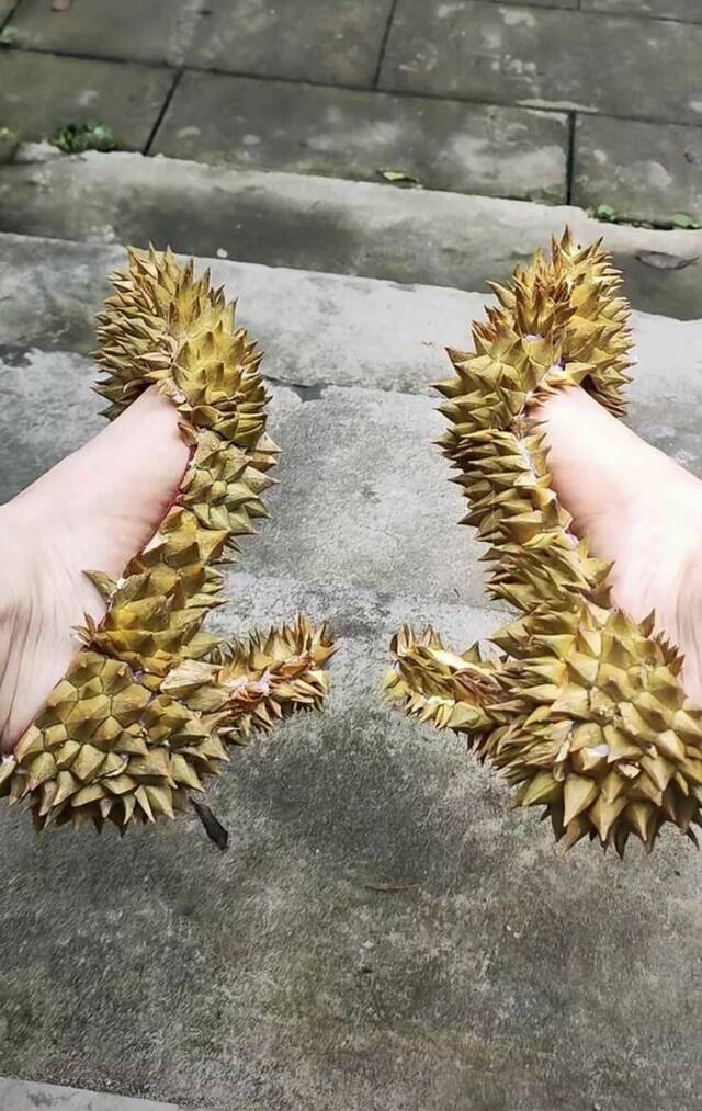 Bildschirmarbeiter - Picdump KW 24/2022