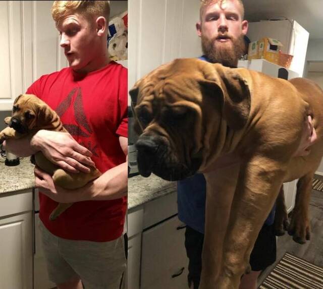 Bildschirmarbeiter - Picdump KW 24/2022