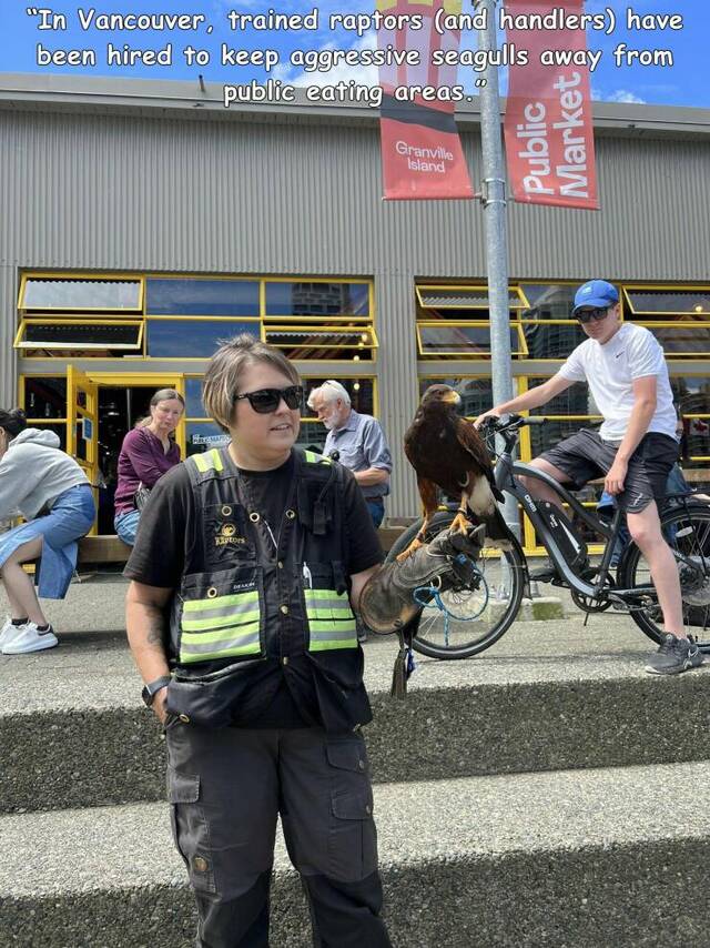 Bildschirmarbeiter - Picdump KW 24/2022