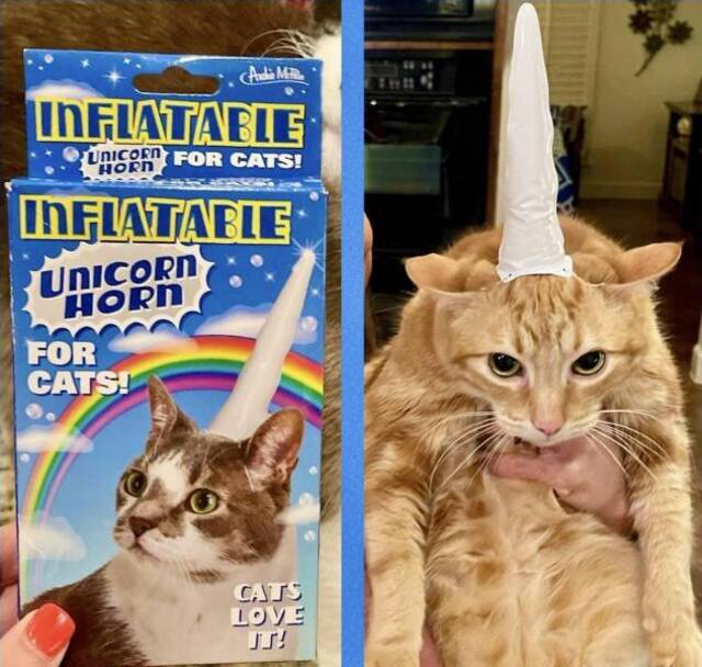 Bildschirmarbeiter - Picdump KW 24/2022