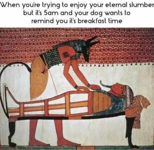 Bildschirmarbeiter - Picdump KW 24/2022