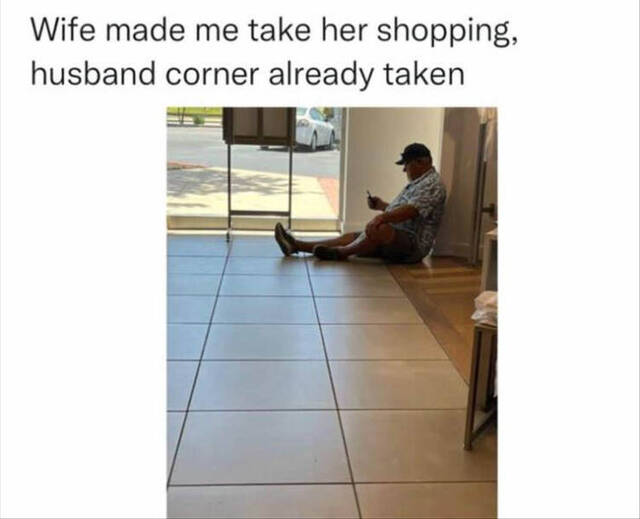 Bildschirmarbeiter - Picdump KW 24/2022