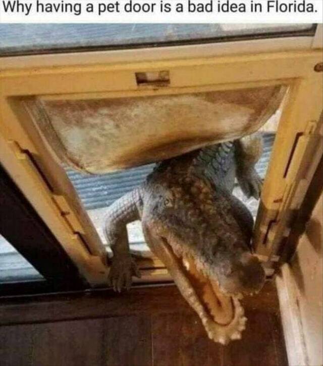 Bildschirmarbeiter - Picdump KW 24/2022