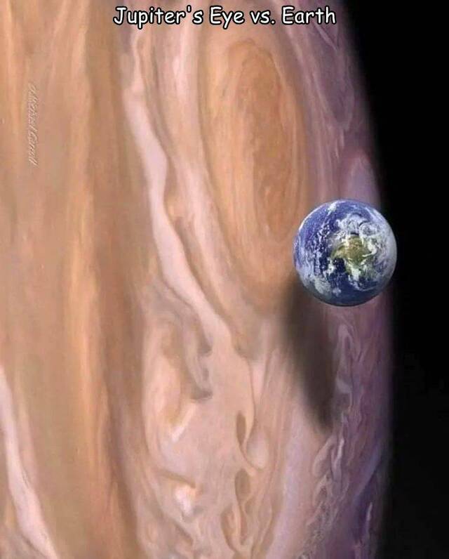 Bildschirmarbeiter - Picdump KW 24/2022