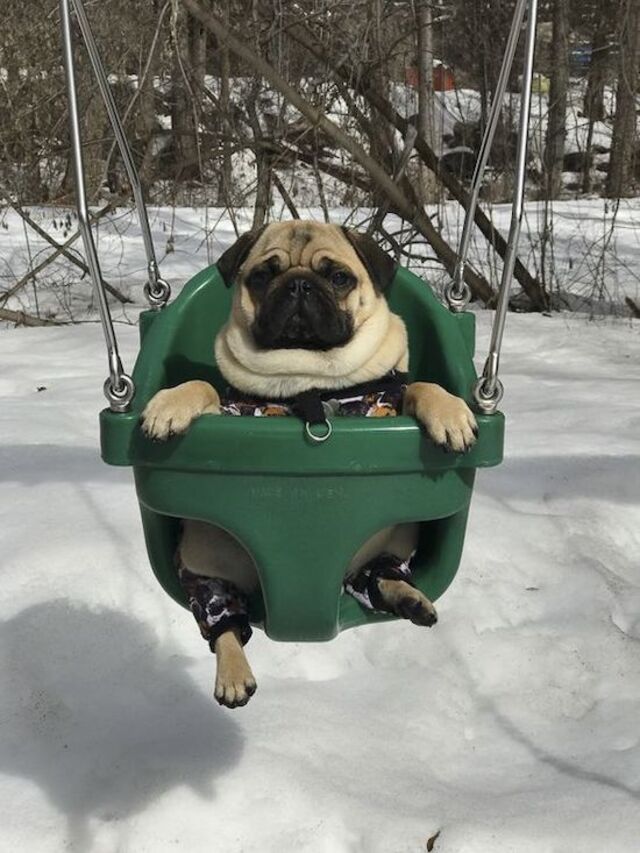 Nachschlag - Bildschirmarbeiter - Picdump KW 24/2022