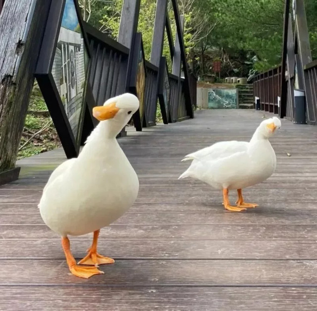 Nachschlag - Bildschirmarbeiter - Picdump KW 24/2022