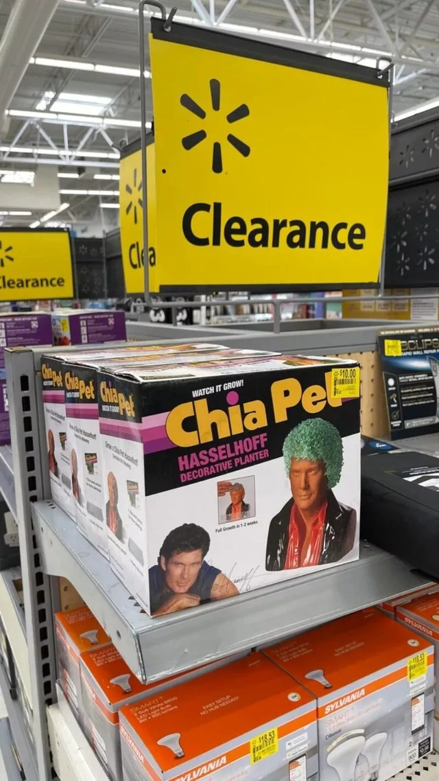 Nachschlag - Bildschirmarbeiter - Picdump KW 24/2022